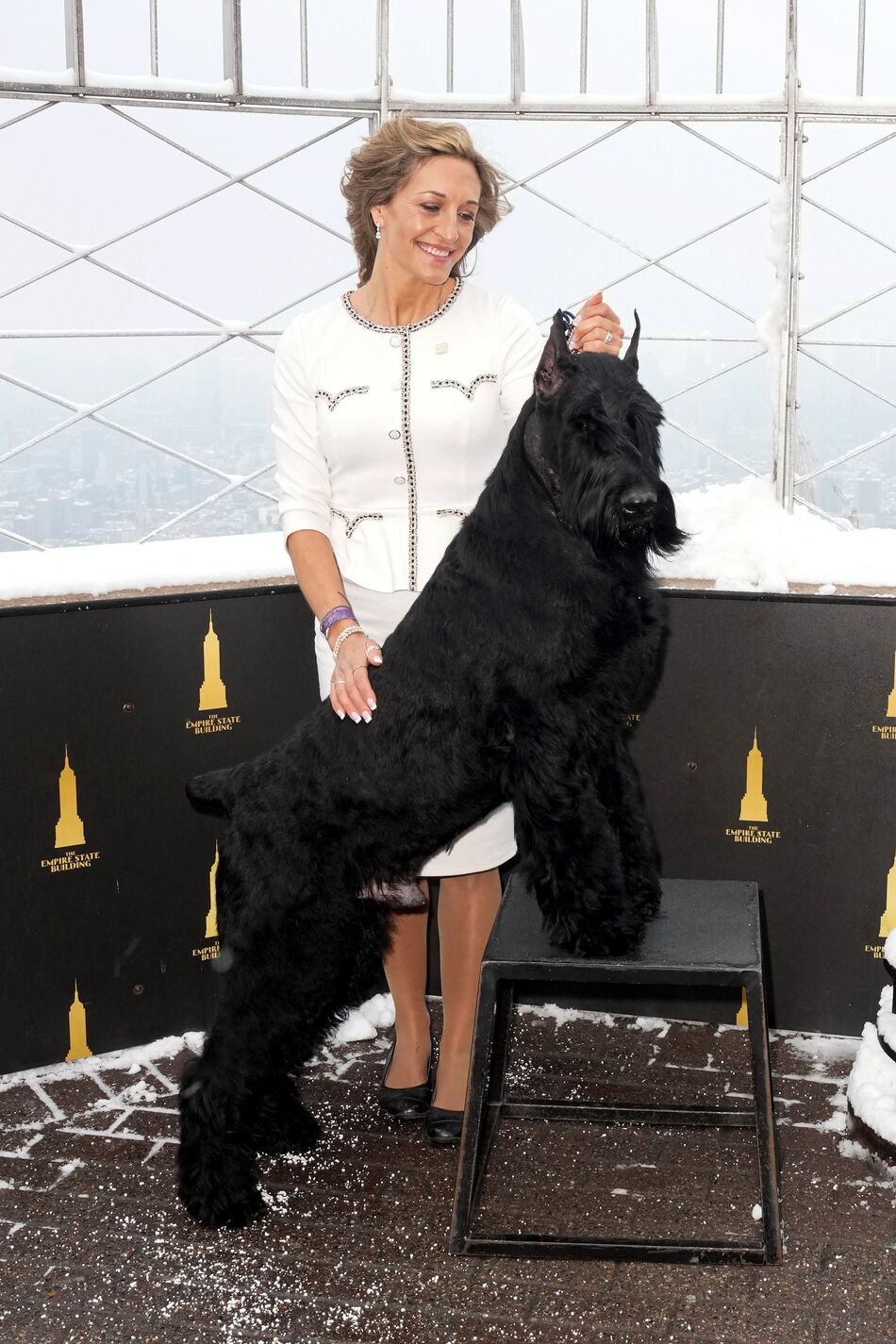 Monty the Giant Schnauzer